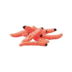 APPAT WATER QUEEN TEIGNE - PAR 15