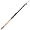CANNE TÉLESCOPIQUE DAM PTS II TELE TROUT