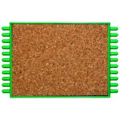 PLIOIR LIEGE TRUITE INNOVATION